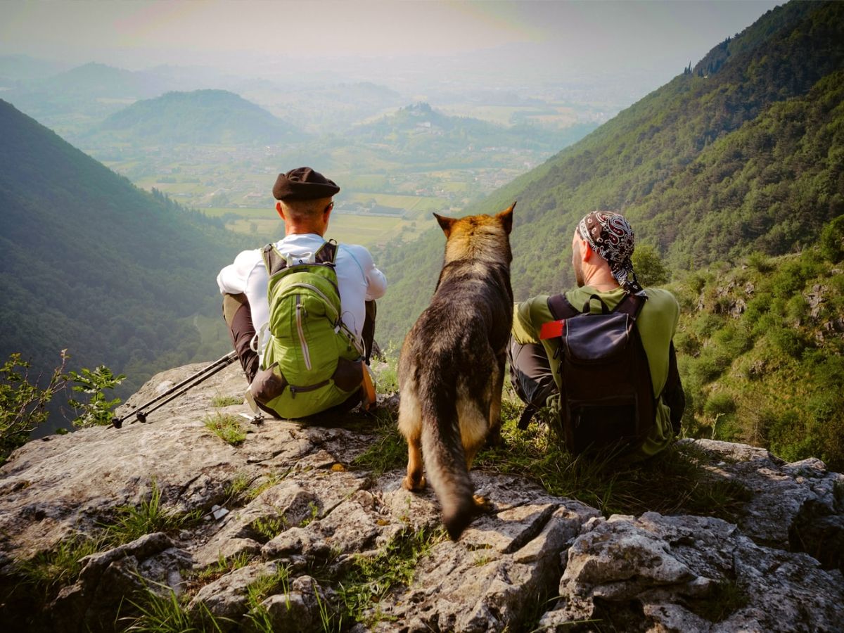 viajar a peru con mascotas