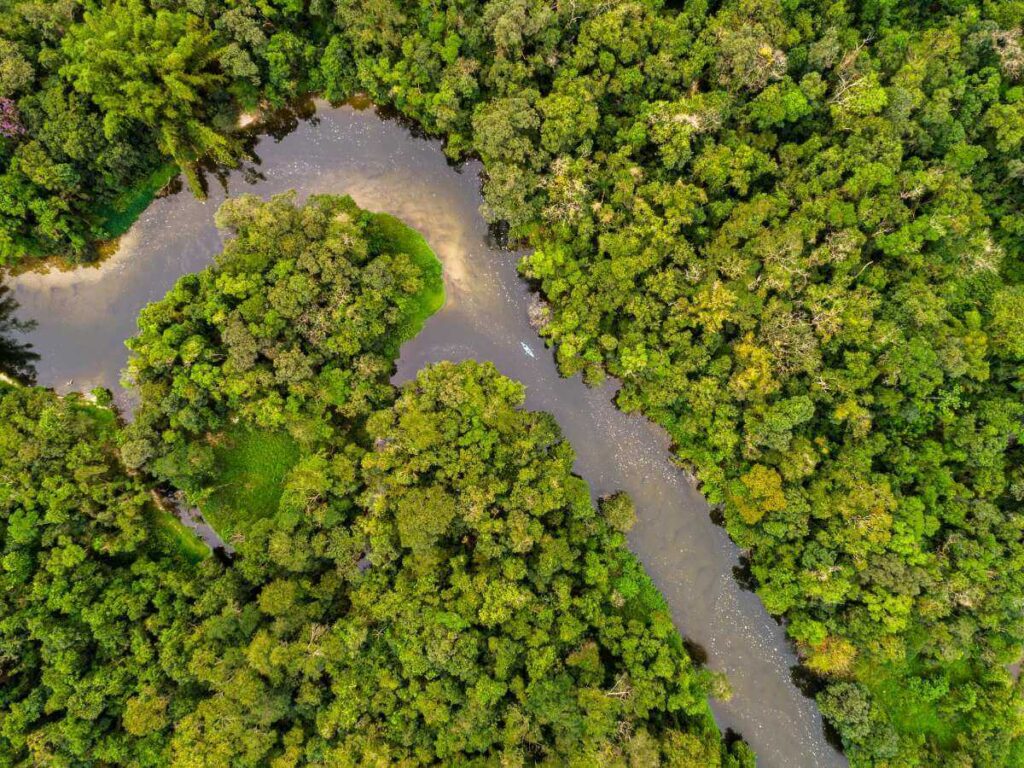 río Amazonas