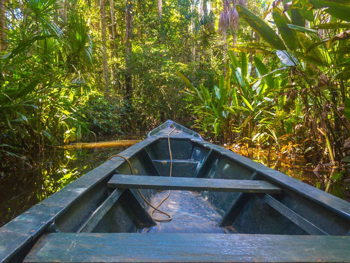 selva amazónica Perú