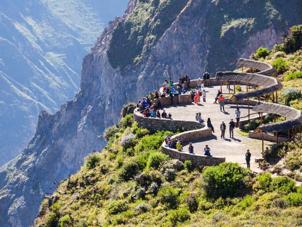 Cañón del Colca cóndores