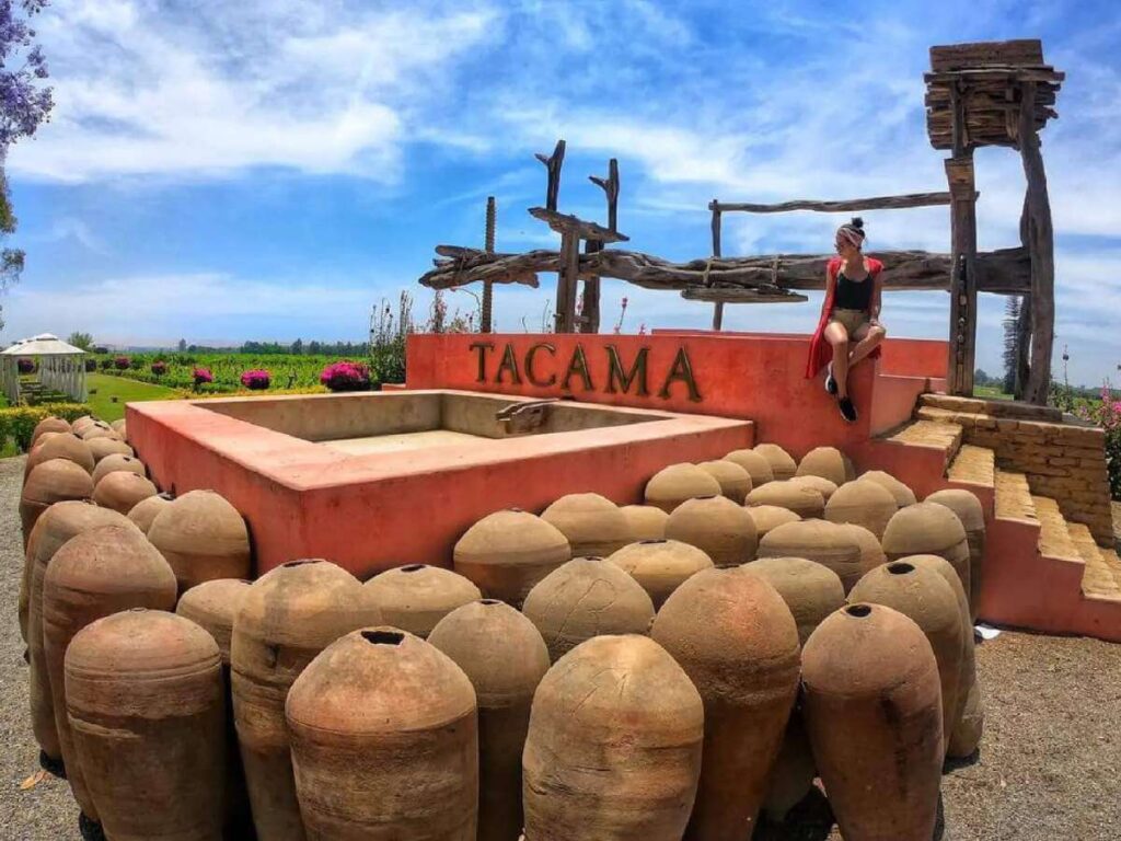pisco Ica bodega