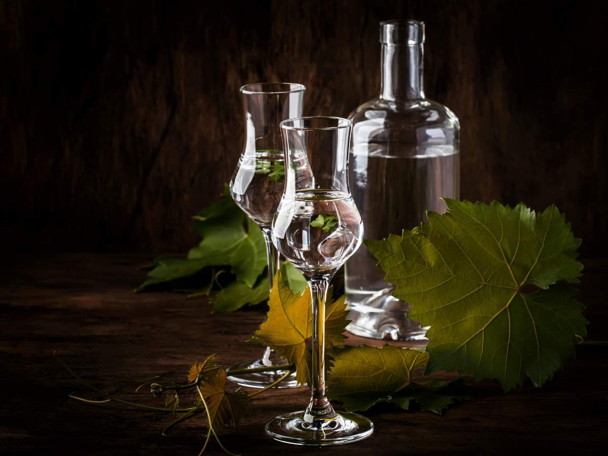  degustación pisco Perú