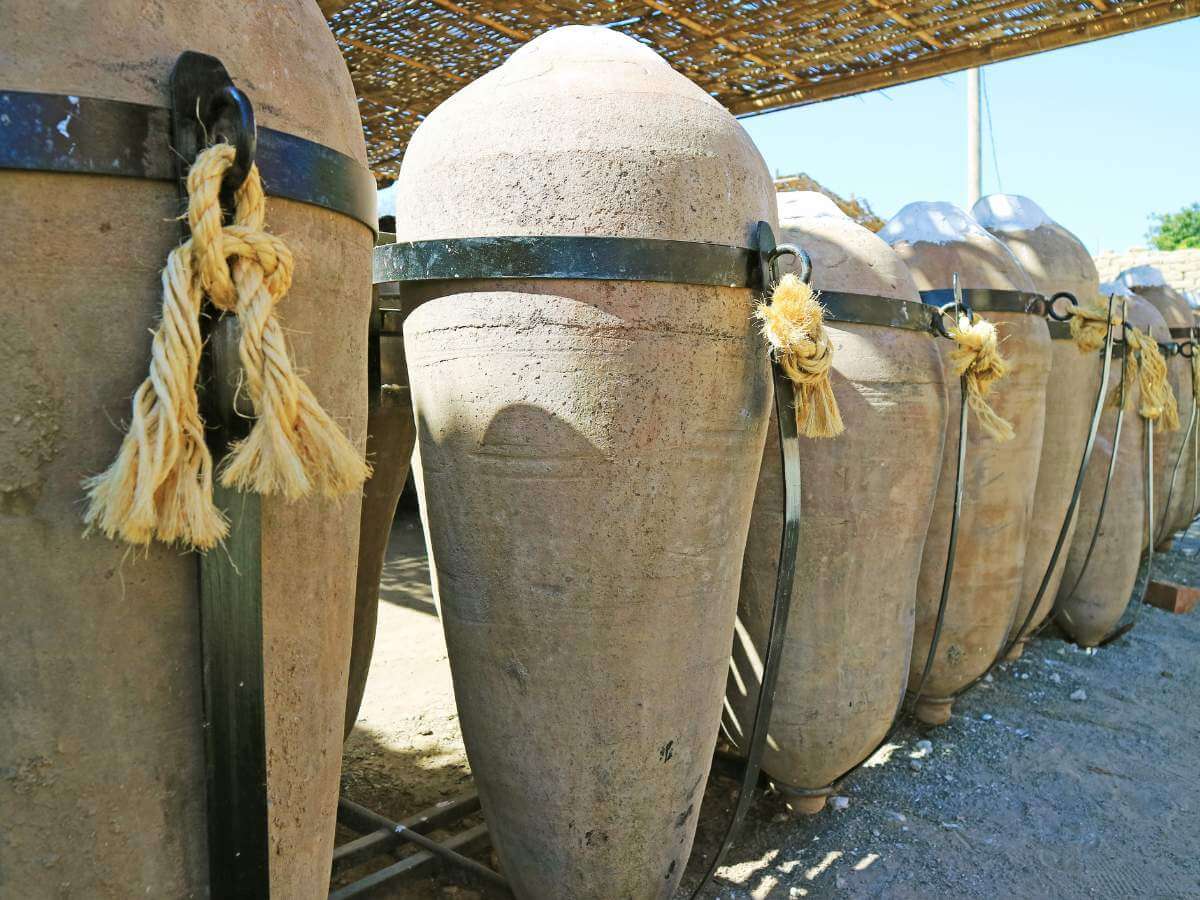 tour del pisco