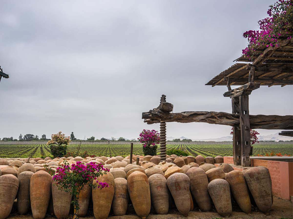 tour del pisco