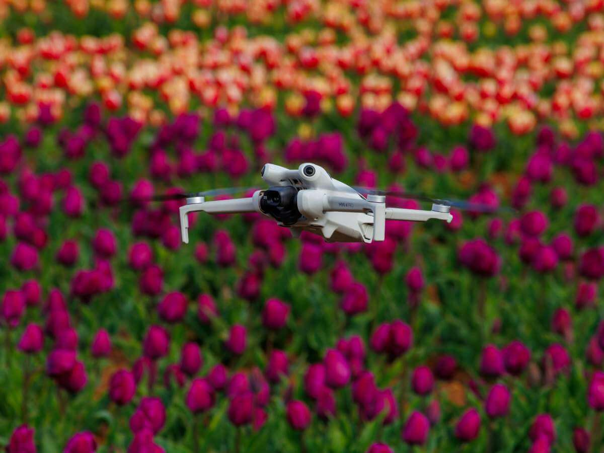 drone paisaje