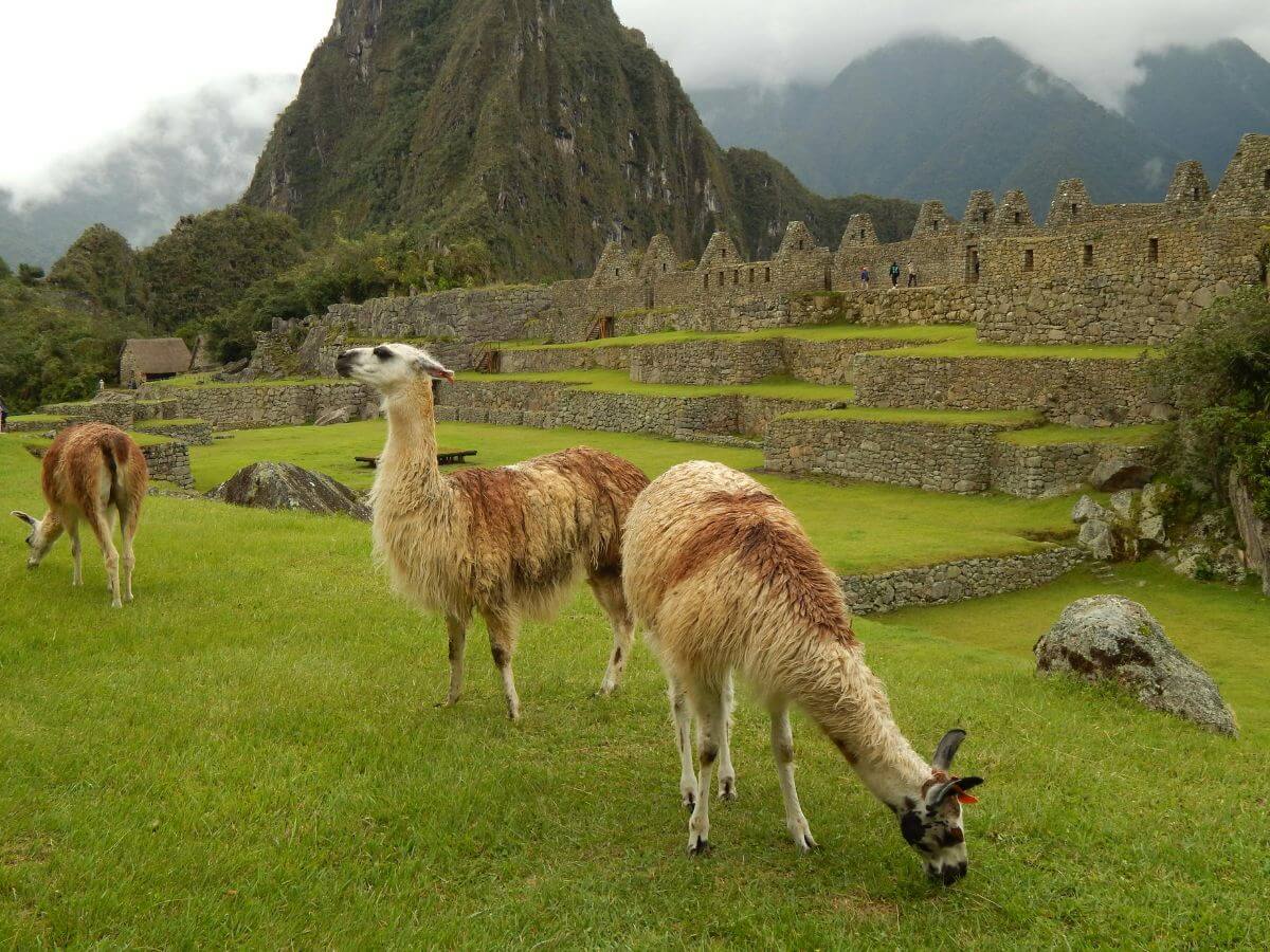 Machu Picchu vista panorámica