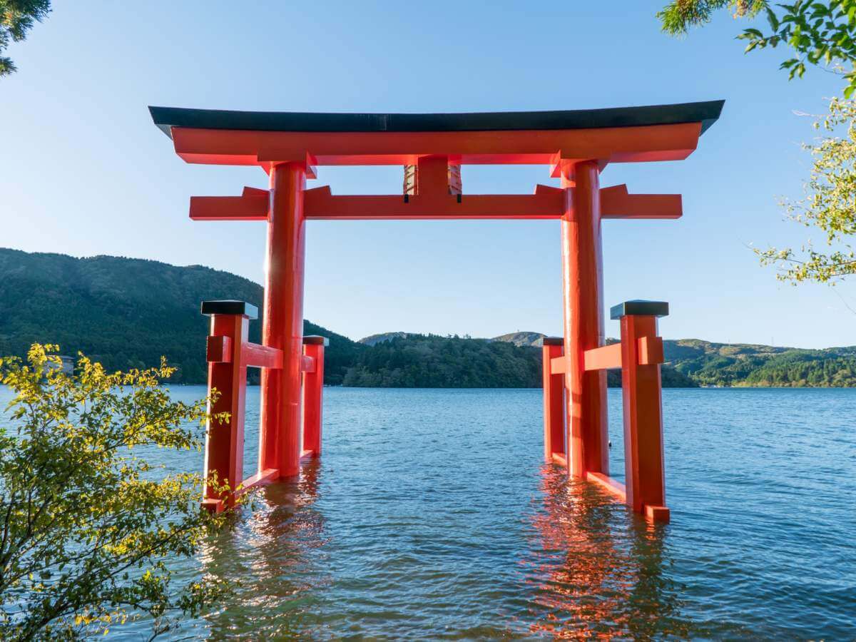 wellness travel