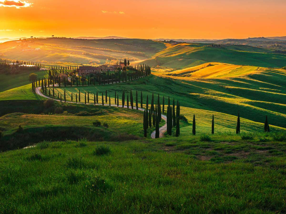 wellness travel
